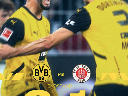 bvb-dortmund dortmund
