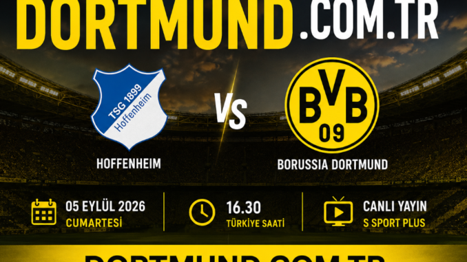 Hoffenheim - Borussia Dortmund